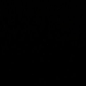 Meet your Posher, Steve